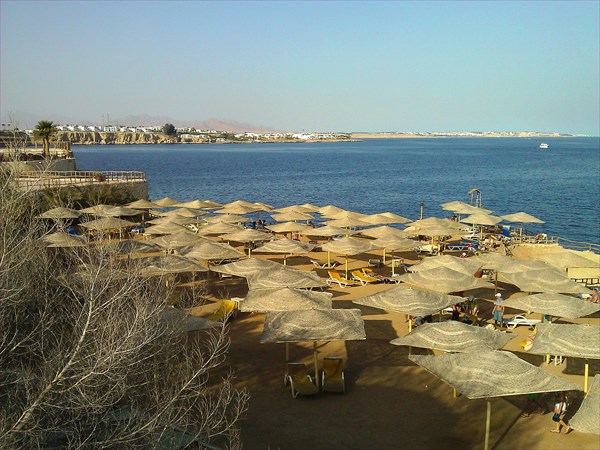 Sharm Reef Beach (Шарм-эль-Шейх)